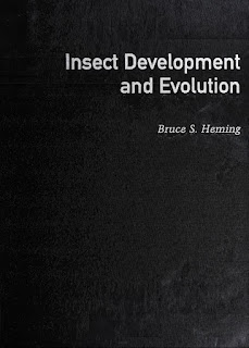 Insect Development and Evolution