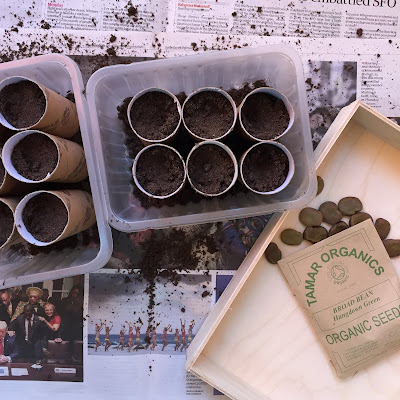 Planting seeds in recycled pots