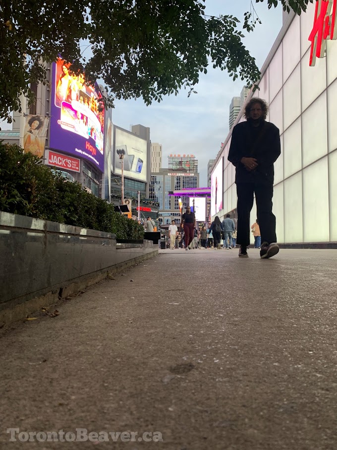 Evening Walk On Dundas Street West