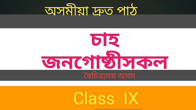 Cha Janagusthihokol - Boisitramai Axom - Class IX [ চাহ জনগােষ্ঠীসকল ( সুশীল কুৰ্মী )- বৈচিত্ৰ্য়ময় অসম -নৱম শ্ৰেণী ]