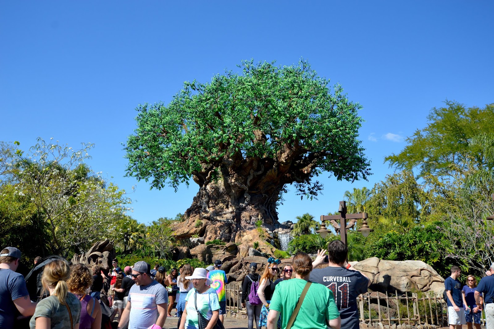 Animal Kingdom Disney