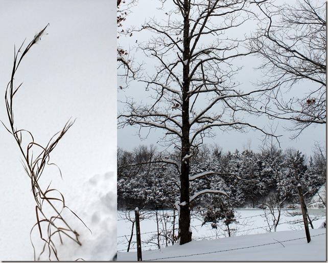 2011-01-20 jan 11 snow2