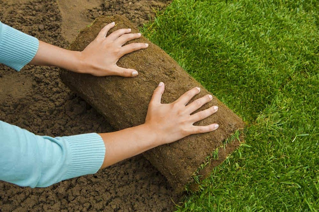 turf laying liverpool