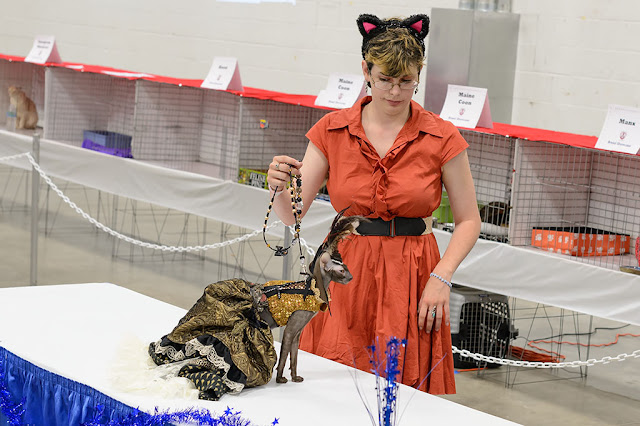 Fashion Show at the National Capital Cat Show