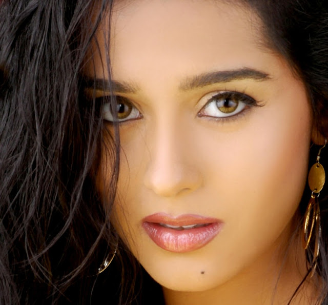 Amrita Rao HD Wallpaper Free Download