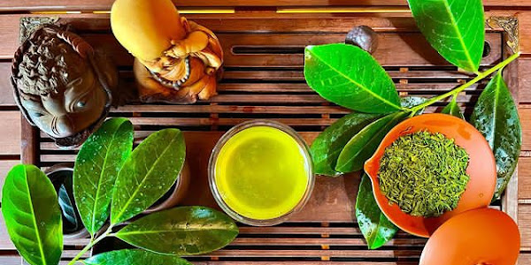 Benefits of green tea in hindi | Green tea ke fayde