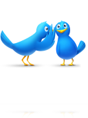 gossip_birds