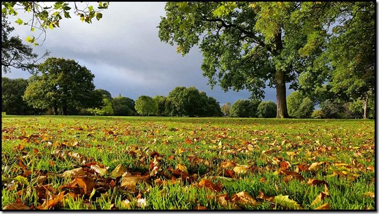 0702parkrun2