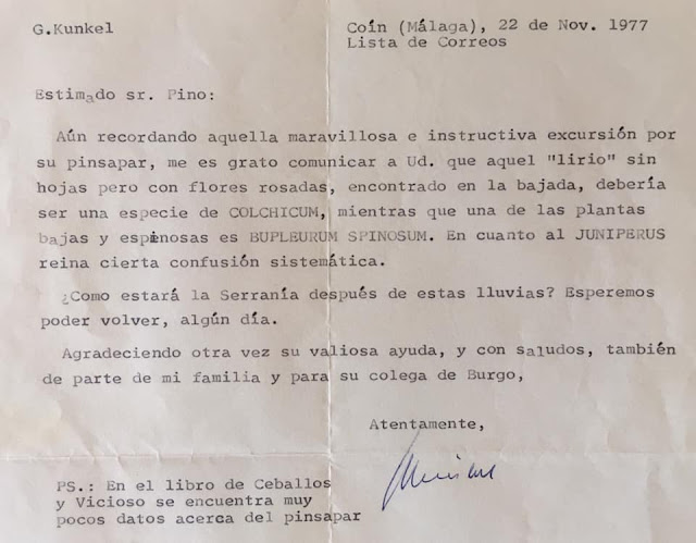 Carta de G.Kunkel a José Pino Rivera (22 de nov. de 1977). Fuente: Archivo personal de José Pino Rivera.