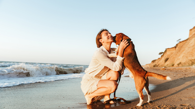 dog on beach with lady licking face