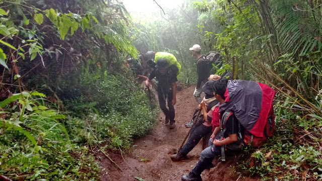 Gunung Merbabu, MDN TRAVENTURY, Pendakian Gunung Merbabu