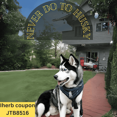 Dogs | Dog grooming | Don't do that | For | Siberian Husky