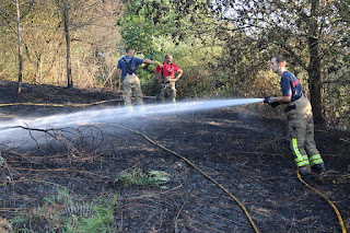 lkos incendios sofocan un fuego forestal entre Gorostiza y La Siebe