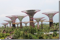 DIMG_4006