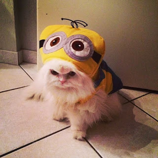 sombrero minion de dos ojos