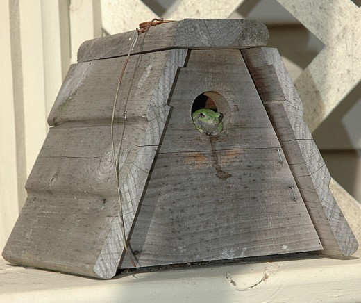 Unique and Creative Birdhouse Designs