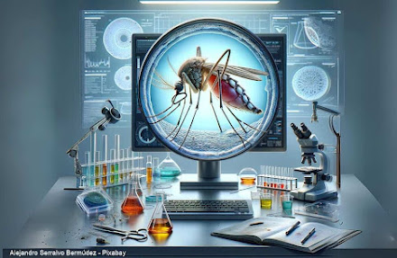 5 curiosidades e dicas para combater a dengue