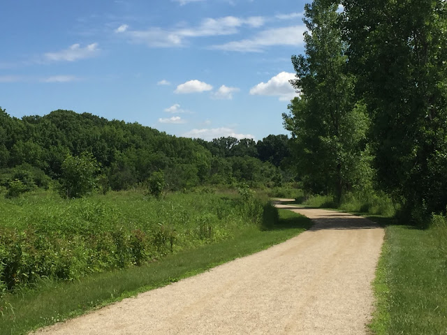 Trail to forest through prairie at Half Day Forest Preserve
