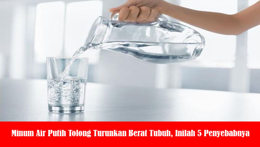 Minum Air Putih Tolong Turunkan Berat Tubuh, Inilah 5 Penyebabnya