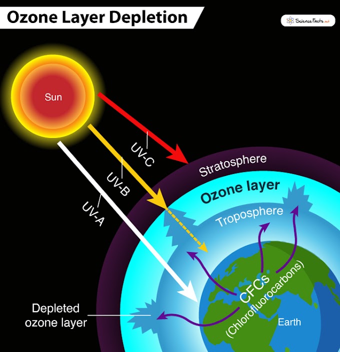  Ozone Layer