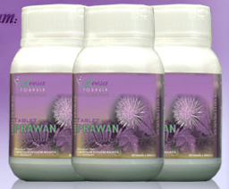 CONFINE MUM SET B LEESA FORMULA  murahcheaponline I 