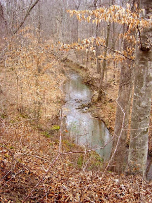 View of Upper Barton's Creek