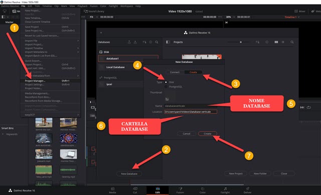 creazione di un database locale in davinci resolve