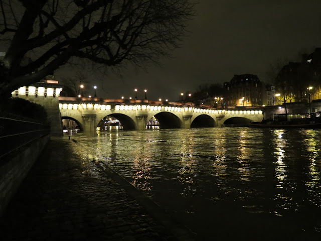 Paris pont neuf night