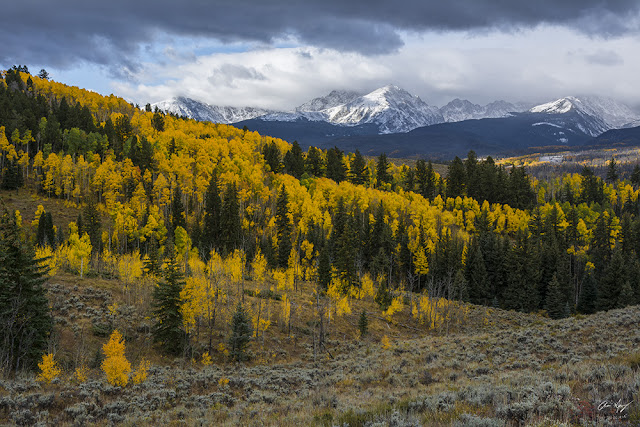 Autumn photography of acorn creek with aspens in the fall and gore range 