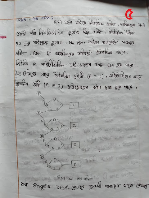 SSC Biology Chapter 12 Hand Note