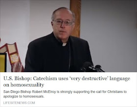 https://www.lifesitenews.com/news/san-diego-bishop-supports-apology-to-gays-changing-catechism