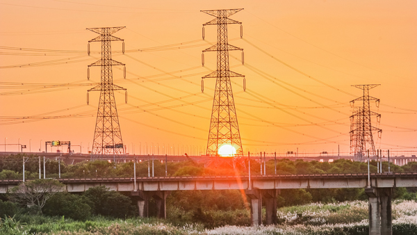 彰化烏溪畔大度橋甜根子草花海美景，還能賞夕陽、拍鐵道火車