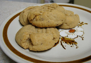 gluten free vegan peanut butter cookies