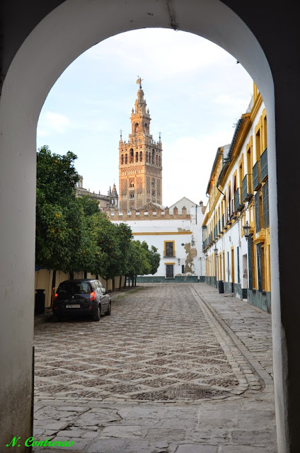 VEN a Sevilla | Come to Seville