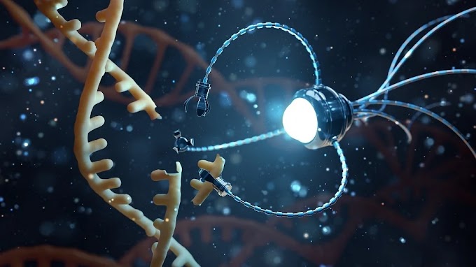 A Nano-Robot Built Entirely from DNA to Explore Cell Processes