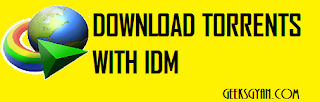 How To Download Torrents With Internet Download Manager(IDM)