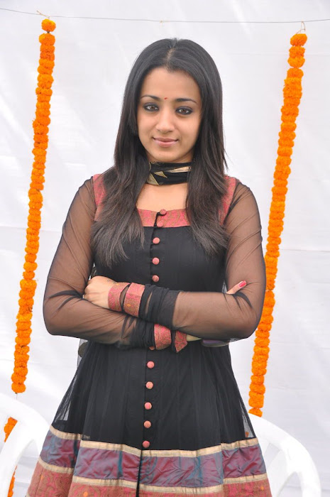 Smiling Trisha in Black Tranparent Churidar Leggings