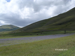 Piana di Castelluccio