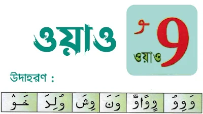 ওয়াও অক্ষর পরিচয়, ওয়াও এর পরিচয় ,ওয়াও ,oao Arabic letter