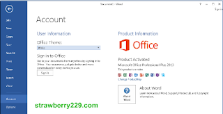Microsoft Office 2013 a
