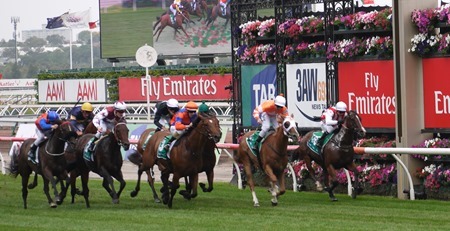 race 5_finish 1