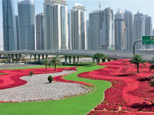 फूलों से गुलजार दुबई:13 लाख वर्ग मी. में 6 करोड़ फूल, माली को हेलीकॉप्टर से घुमाया जाता है ताकि वे अपनी मेहनत निहार सकें