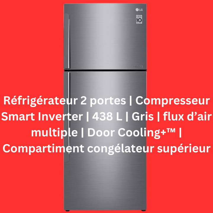 Réfrigérateur 2 portes | Compresseur Smart Inverter | 438 L | Gris | flux d’air multiple | Door Cooling+™ | Compartiment congélateur supérieur