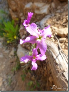P1020012