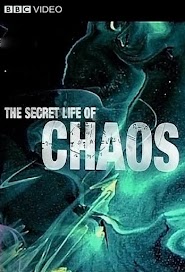 The Secret Life of Chaos (2010)