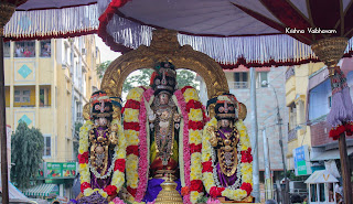 Theppotsavam,Seriya Ther,Day 04,Vaibhavam,Dharisanam,Sri Narasimhar, Sri PArthasarathy Perumal, Perumal, Venkata Krishna , Varushotsavam, 2018, Video, Divya Prabhandam,Triplicane,Thiruvallikeni,Utsavam,