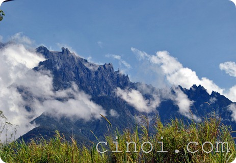 Family Day Dreamworld Kundasang 11
