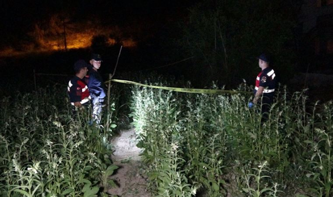Antalya'da 16 yaşındaki çocuk başından vurulmuş halde ölü bulundu
