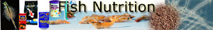 Aquarium Fish Nutrition, Reading Fish Food Label
