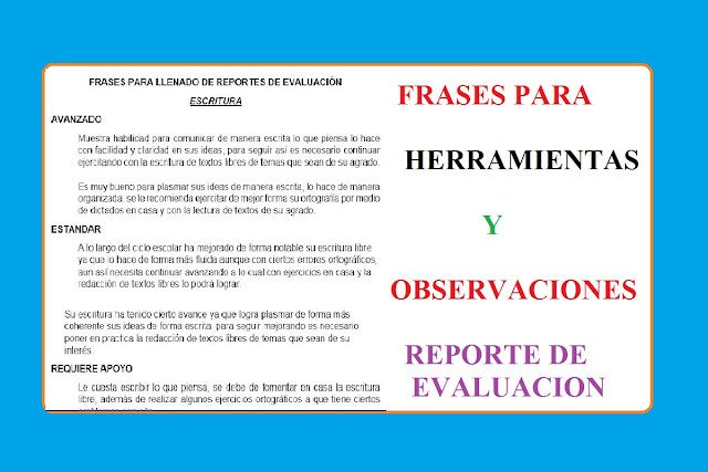 Frases para Llenado de Herramientas y Observaciones de Reportes de Evaluación